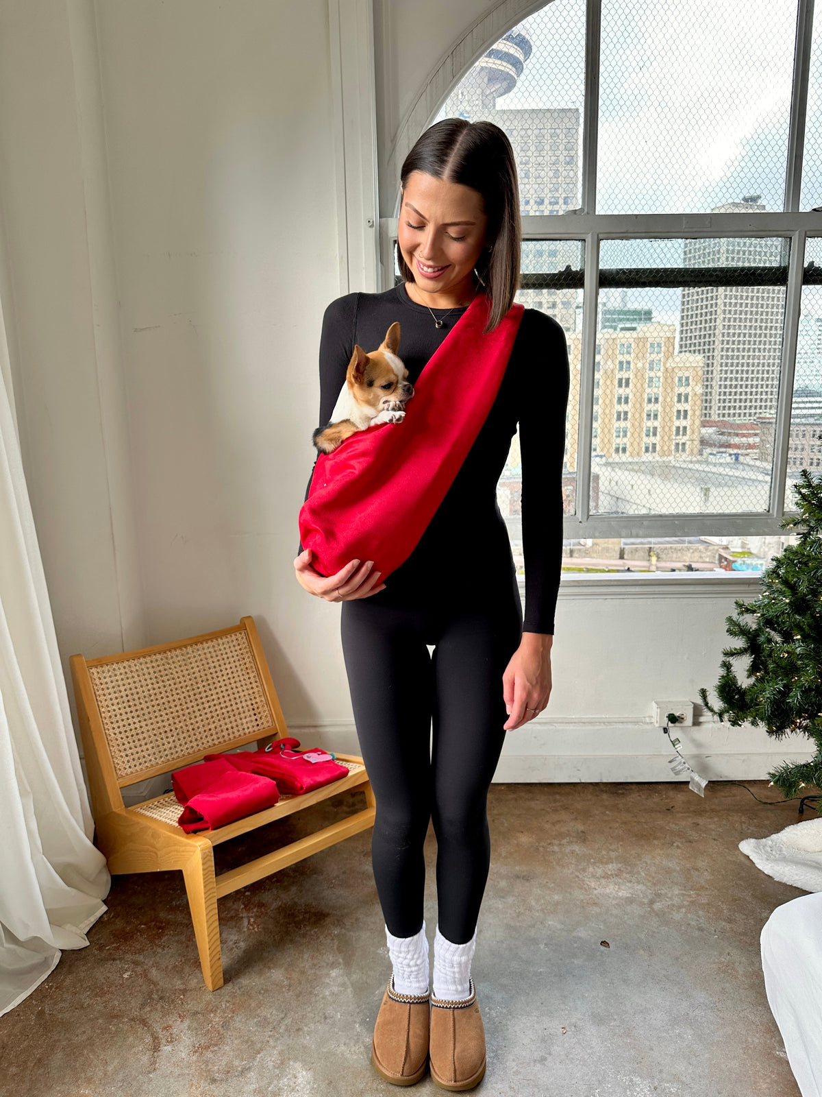 Wearable Dog Carrier product image 17