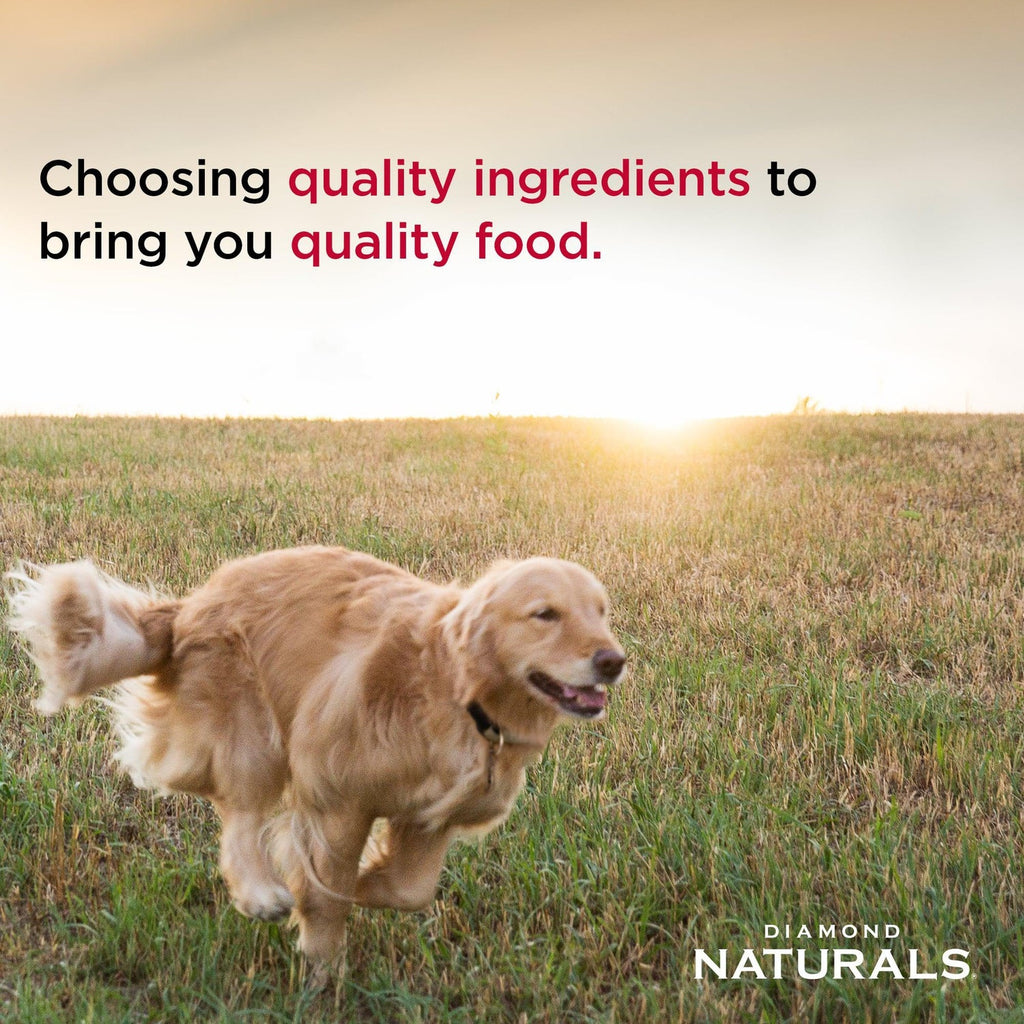 Dry Dog Food product image 4