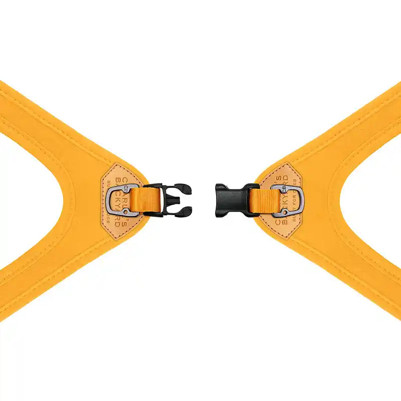 yellow charlie's backyard easy dog harness