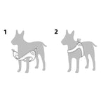 diagram showing how to put on charlie's backyard easy buckle harness