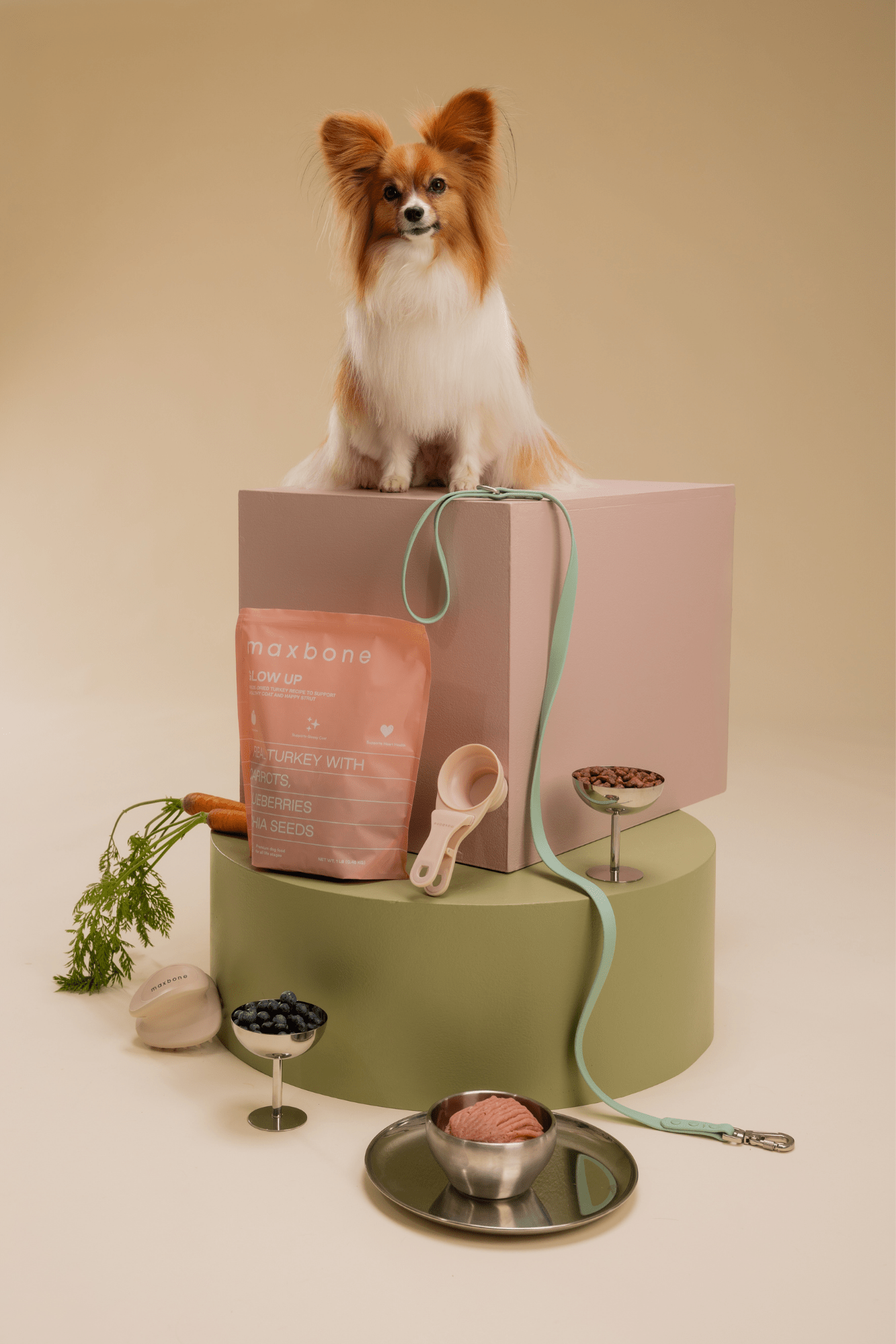 Freeze-Dried Raw Dog Food product image 5