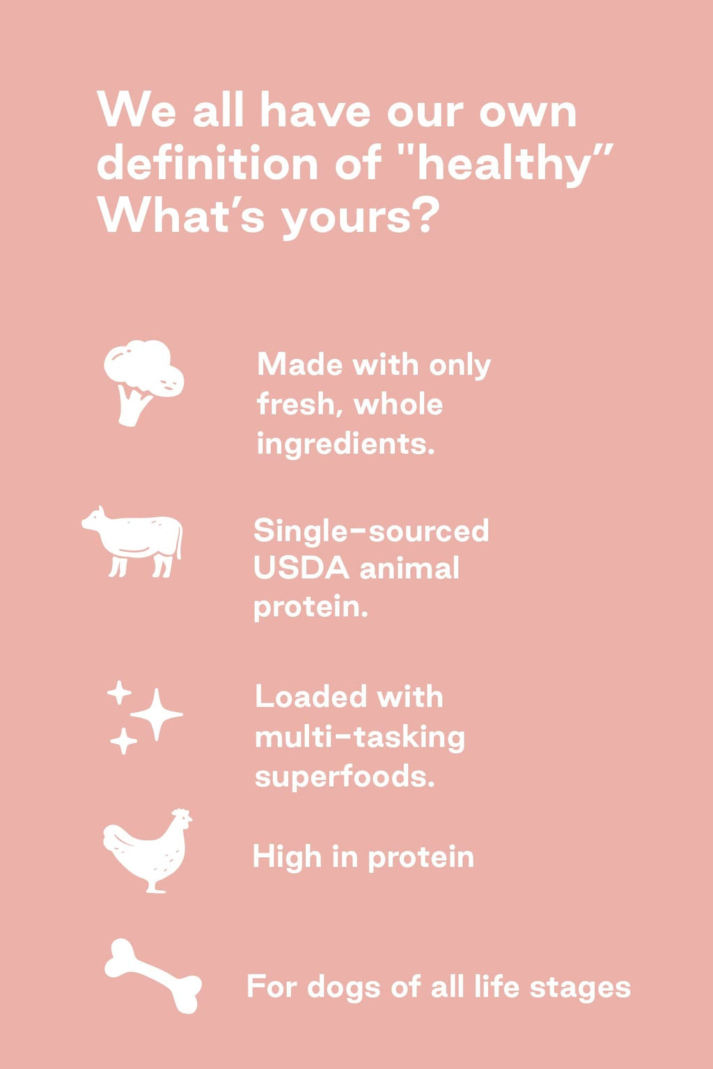 Freeze-Dried Raw Dog Food product image 6