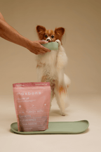 Freeze-Dried Raw Dog Food product image 7