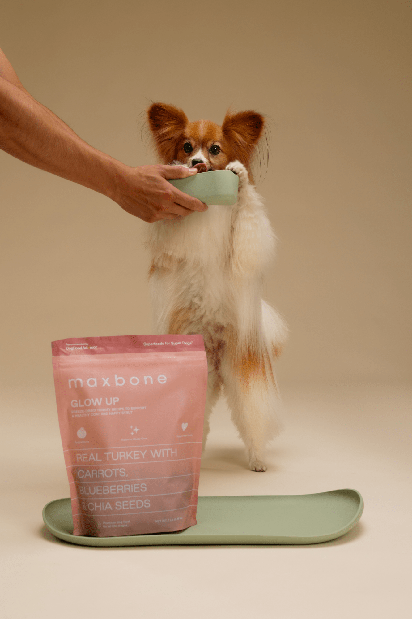 Freeze-Dried Raw Dog Food product image 7
