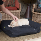 Canvas Dog Bed product image 2