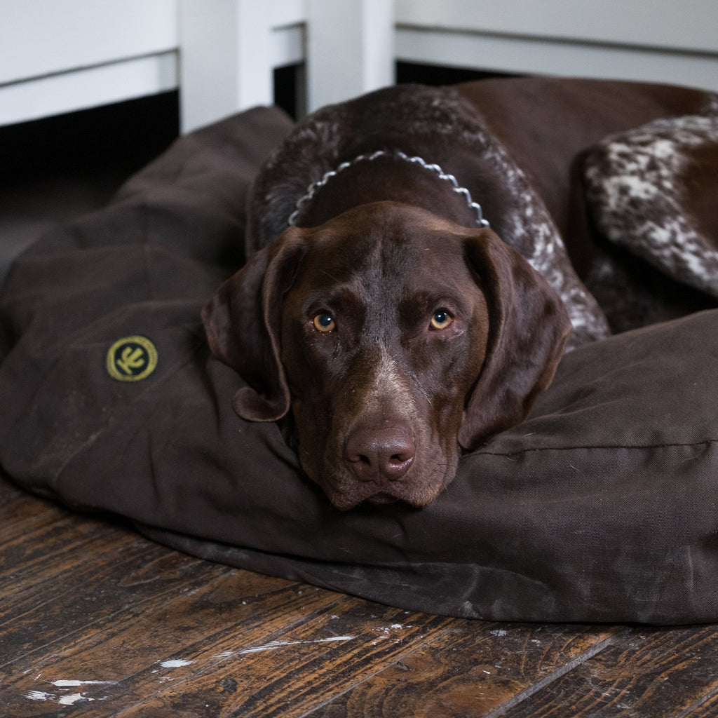 Canvas Dog Bed product image 3