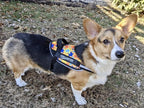 Dog Harness product image 1
