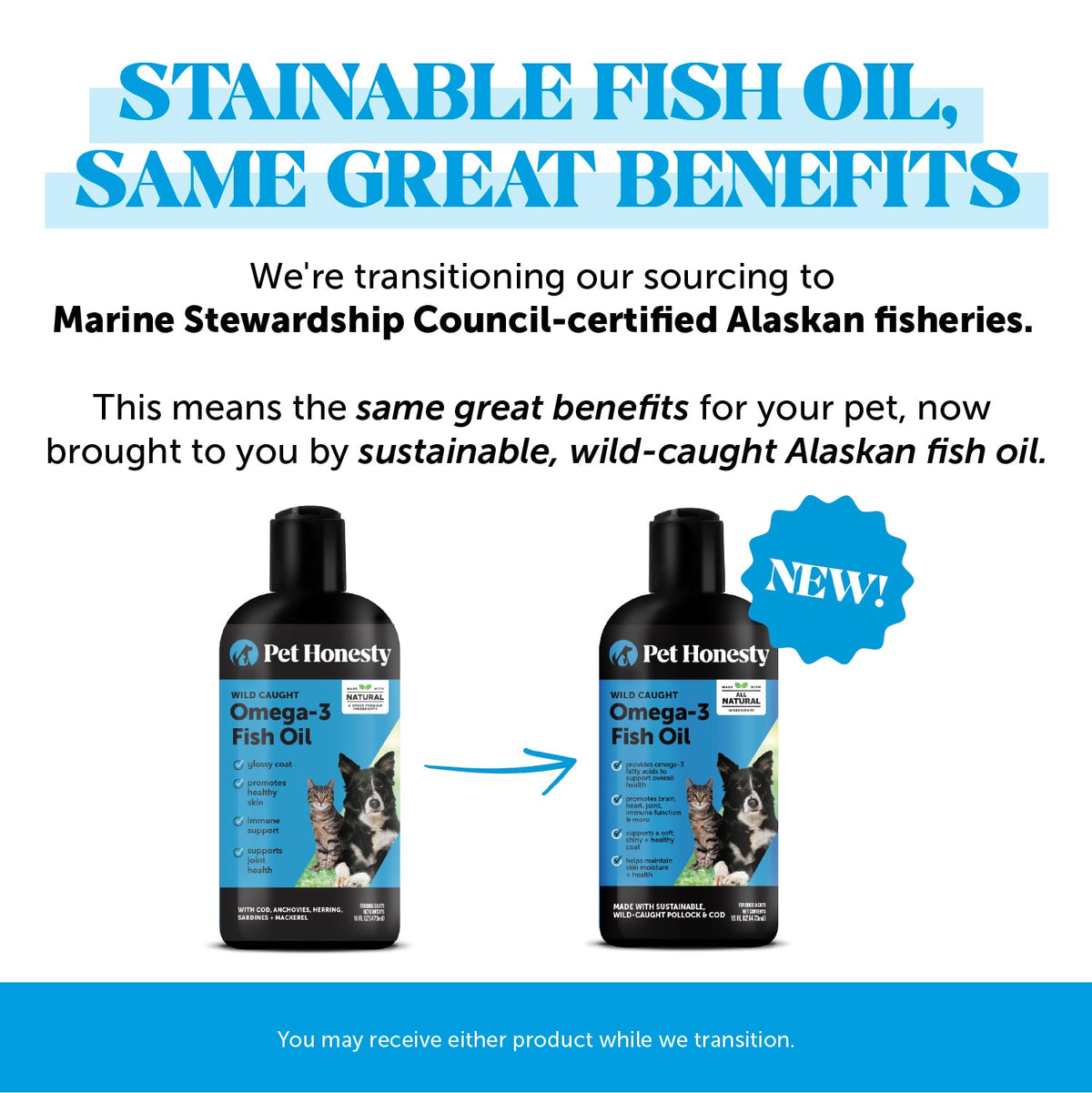 Omega-3 Fish Oil product image 4