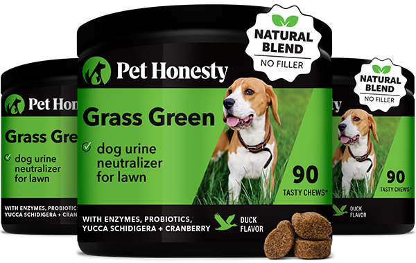 Dog Digestive Supplements product image 1
