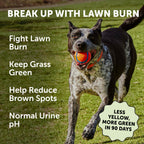Dog Digestive Supplements product image 2