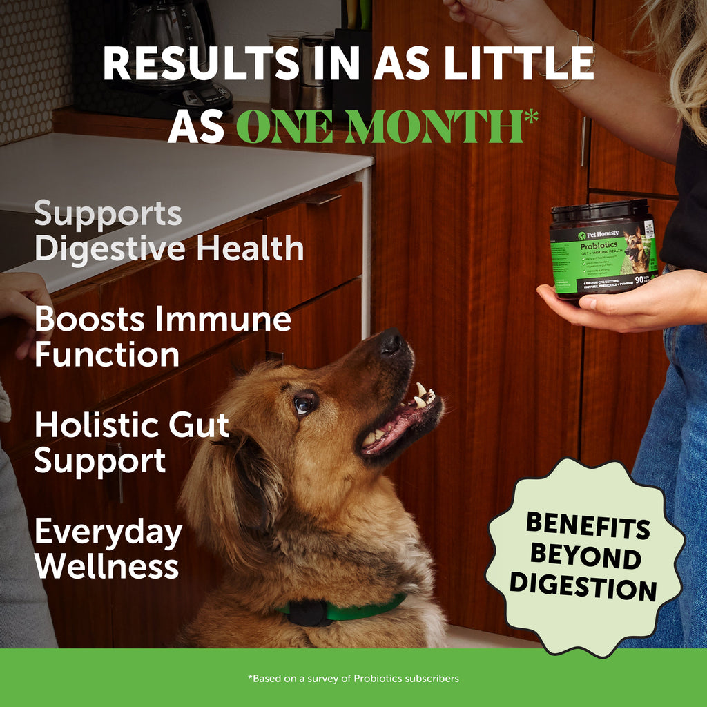 Dog Probiotic Chews product image 2
