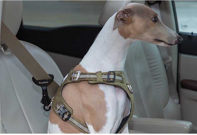 Dog Car Seat Belt Buckle product image 11