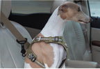 Dog Car Seat Belt Buckle product image 11