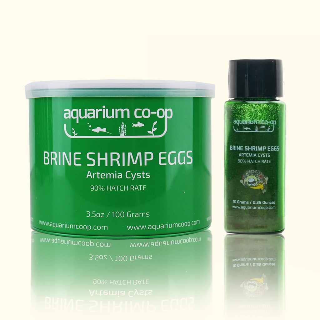 Brine Shrimp Eggs product image 1
