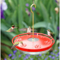 Hummingbird Feeder product image 1