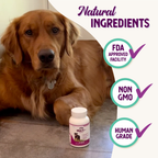 Dog Multivitamin product image 8