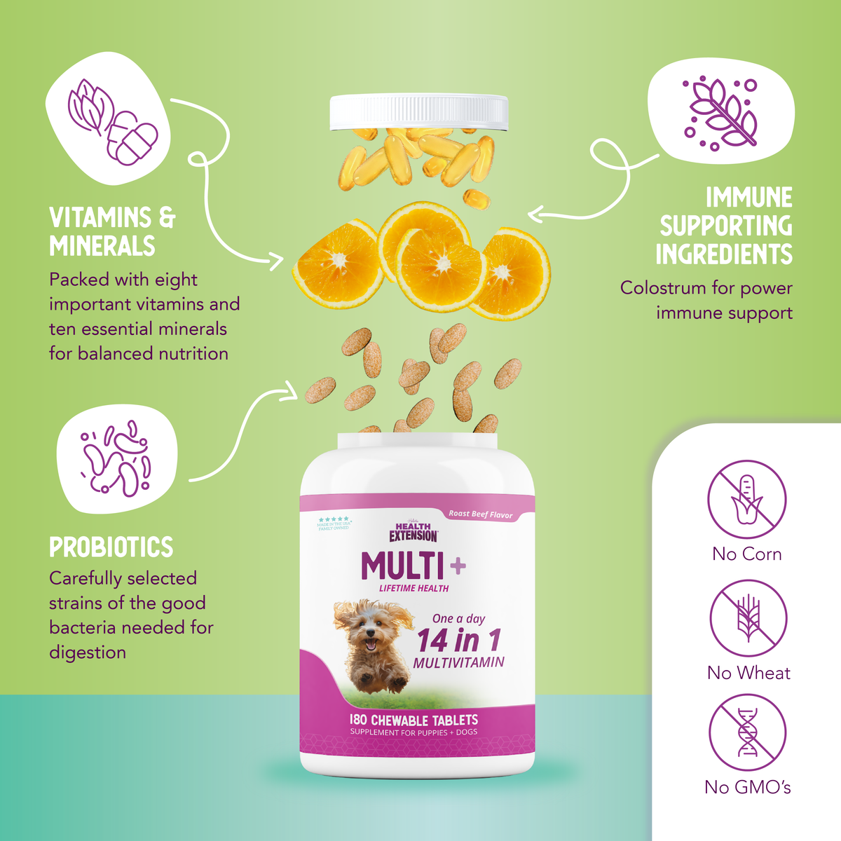 Dog Multivitamin product image 9