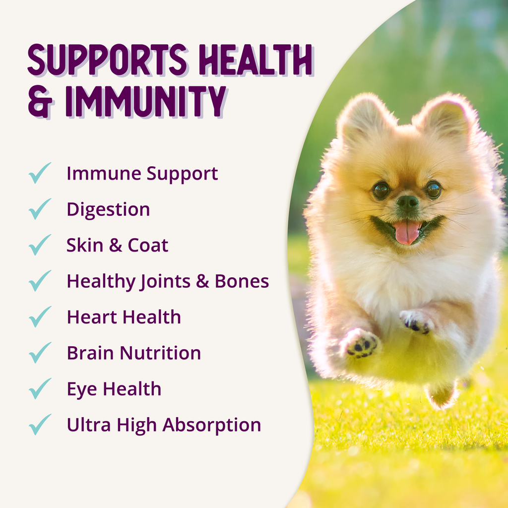 Dog Multivitamin product image 10