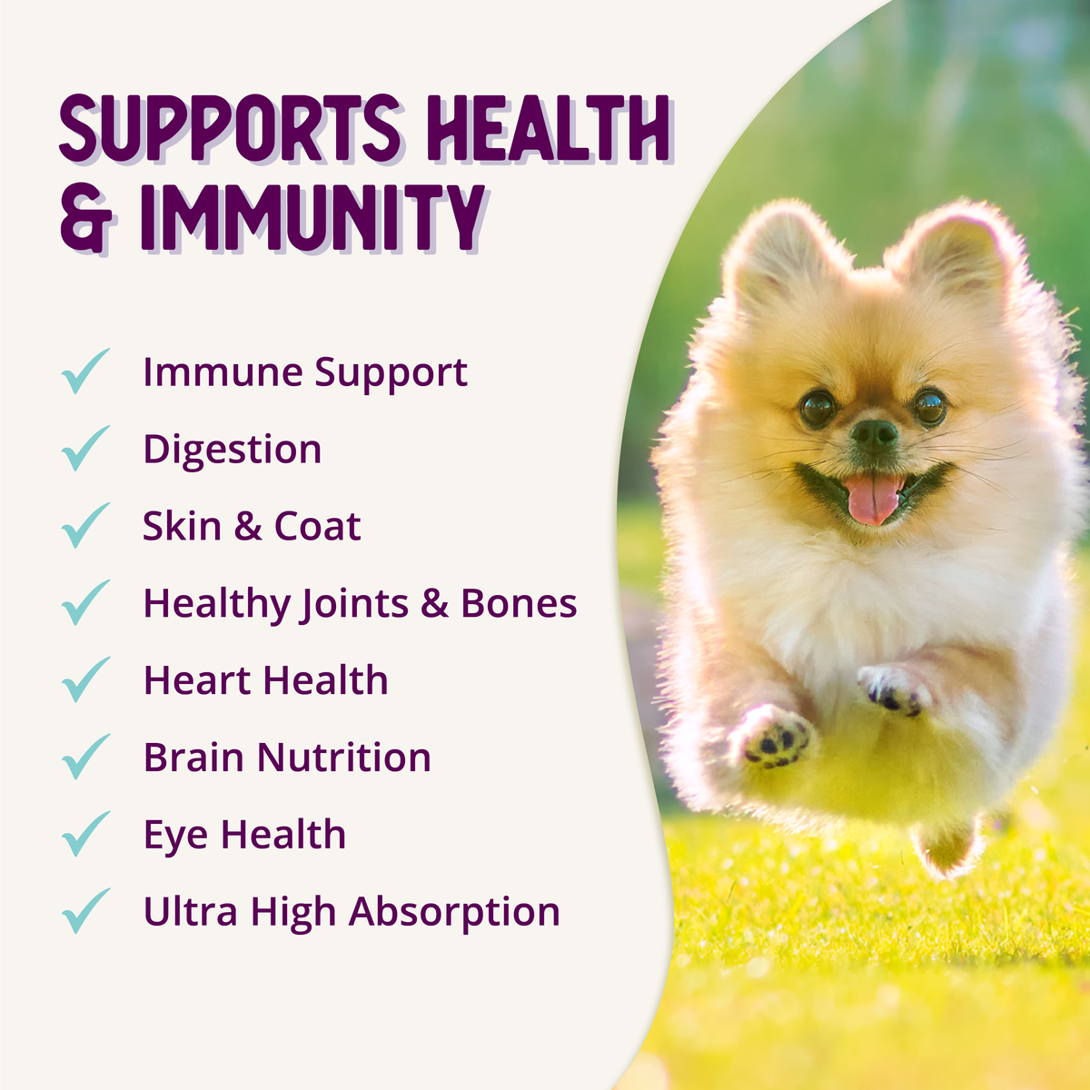 Dog Multivitamin product image 10