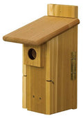 Bluebird House product image 1