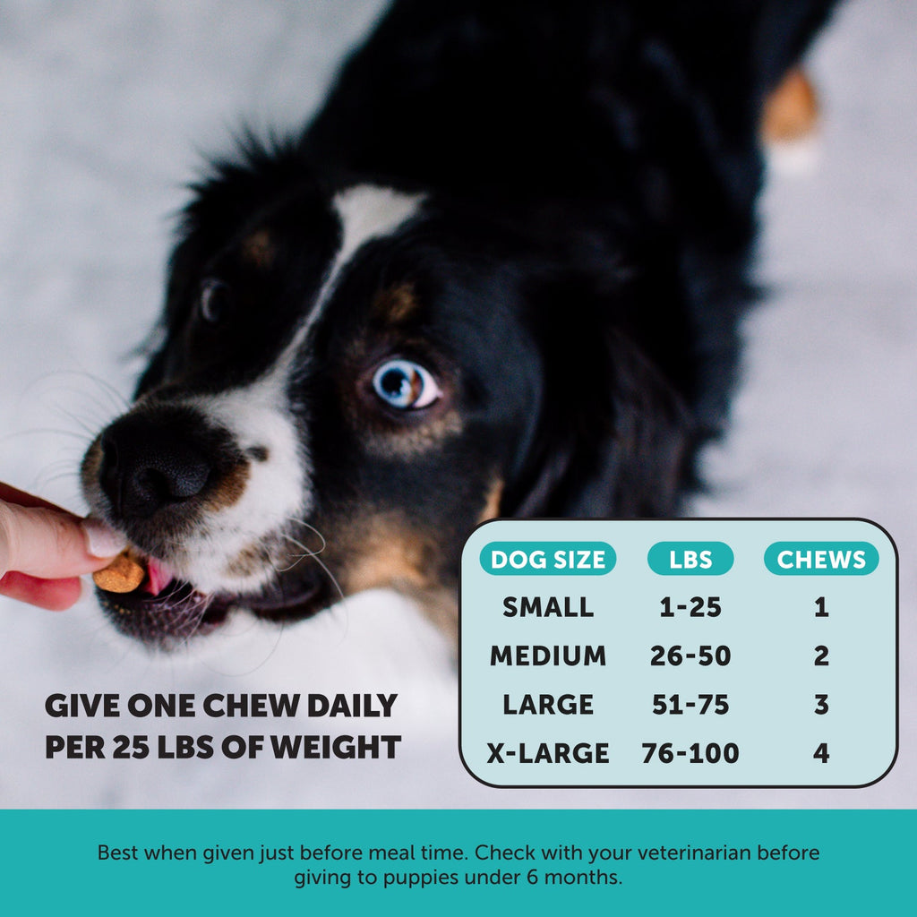 Dog Calming Chews product image 6