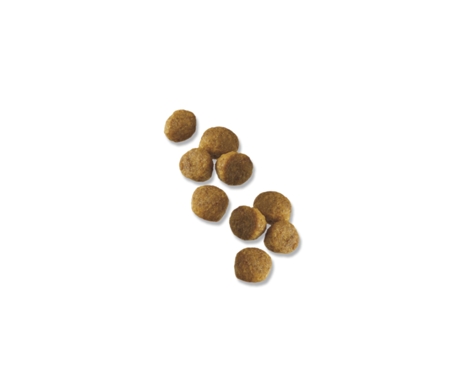 Dry Dog Food product image 4
