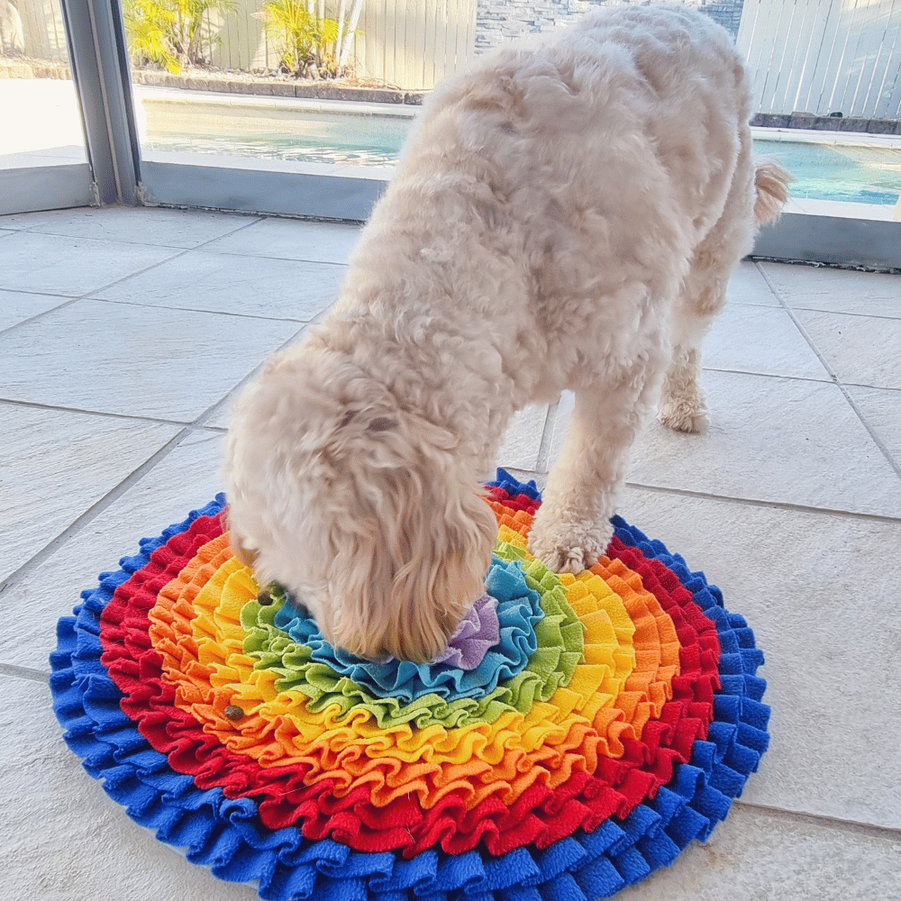 Dog Snuffle Mat product image 2