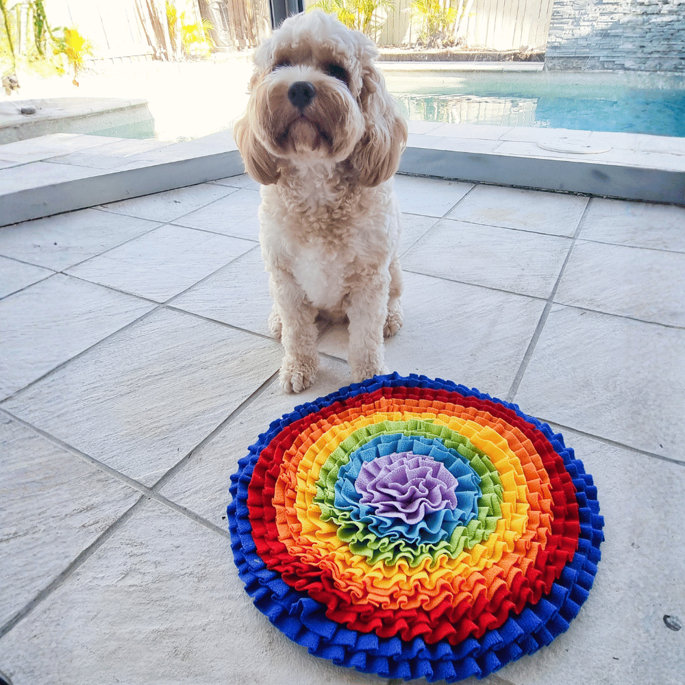 Dog Snuffle Mat product image 8