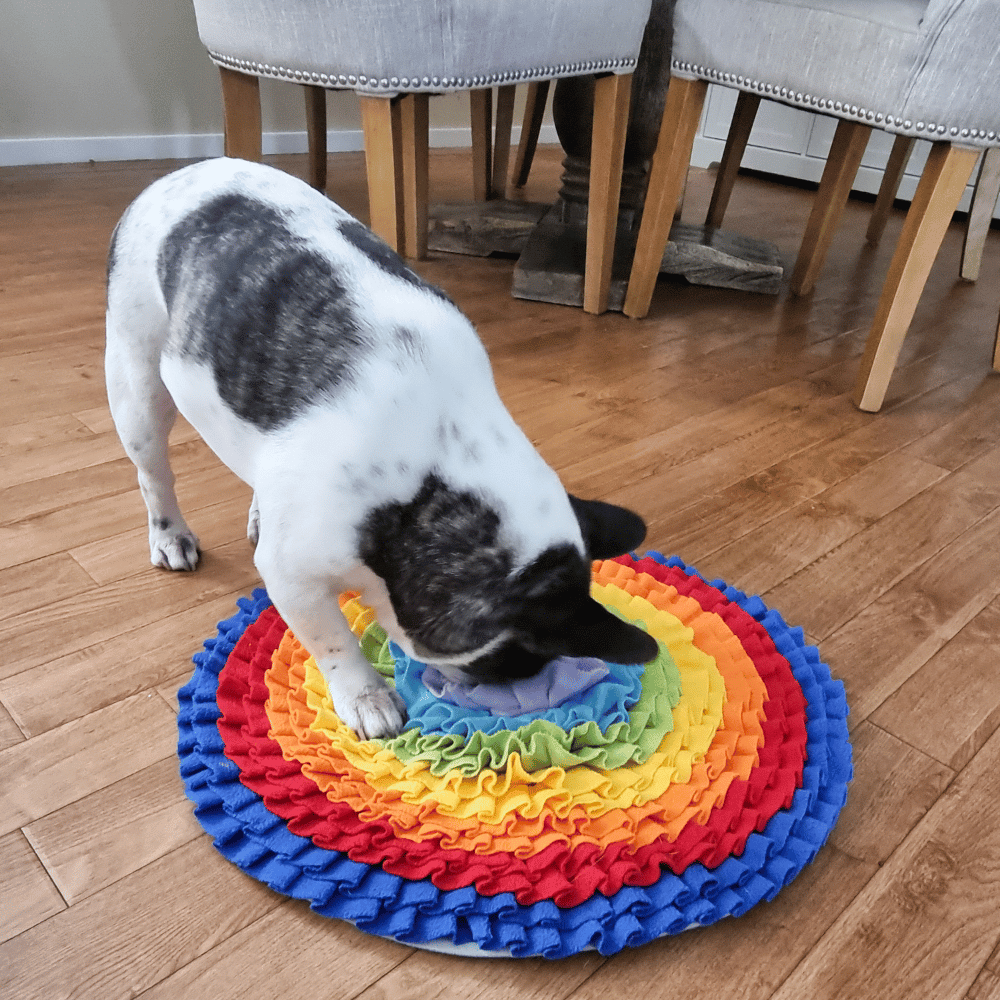 Dog Snuffle Mat product image 9