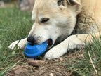 Dog Toy product image 6
