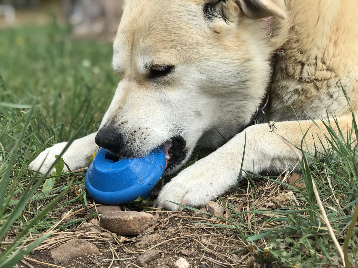 Dog Toy product image 6
