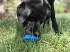 Dog Toy product image 7