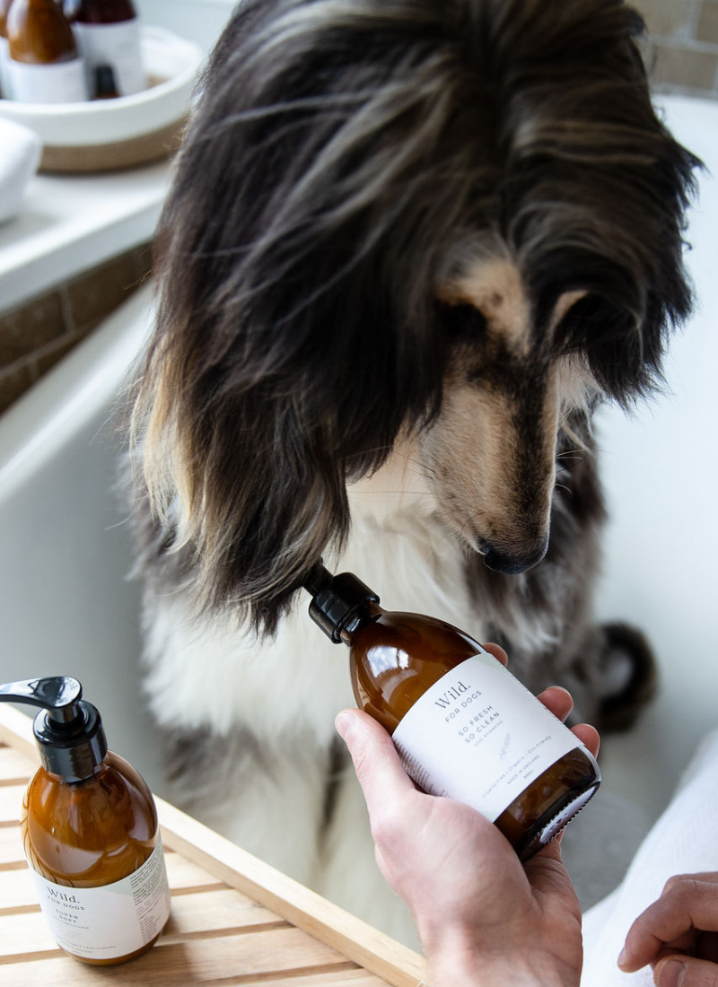 Dog Shampoo and Conditioner Duo product image 3