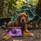 Packable Dog Travel Bowl product image 4