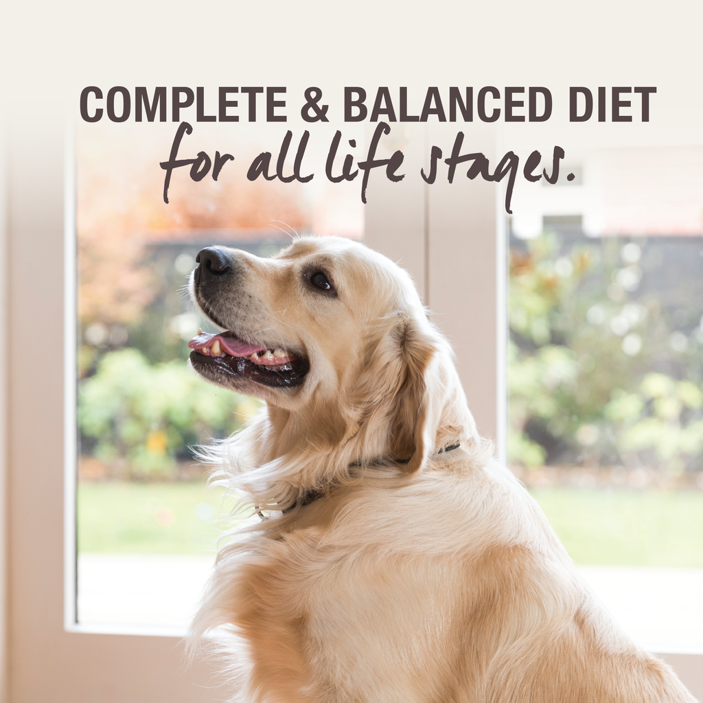 Freeze-Dried Dog Food product image 7