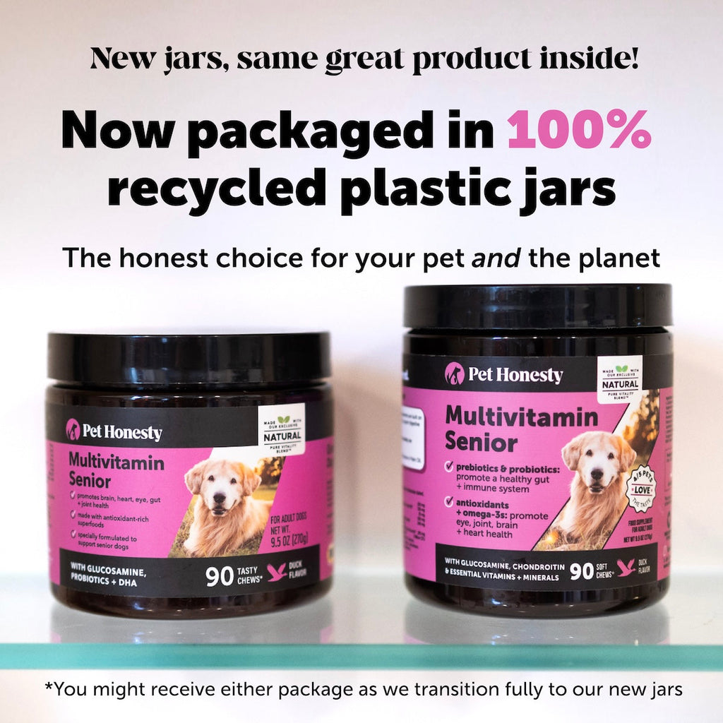 Senior Dog Multivitamin Chews product image 7