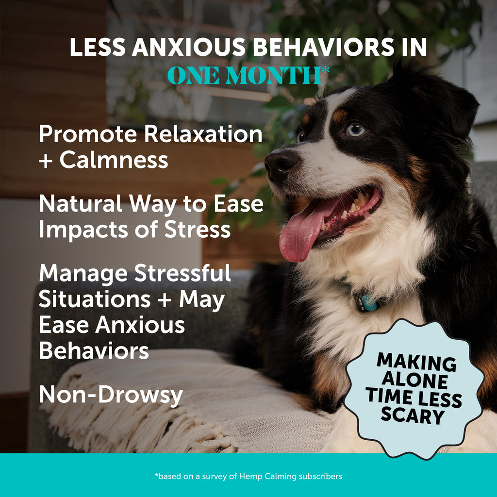 Dog Calming Chews product image 2