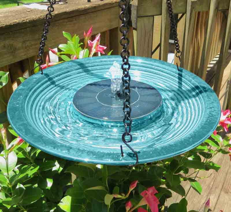 Hanging Bird Bath product image 6