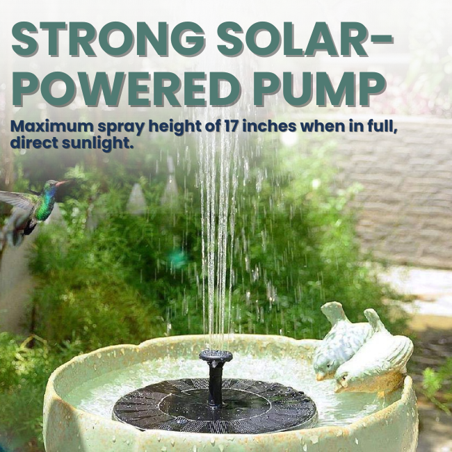 One-Piece Solar Bird Bath Fountain Kit product image 2