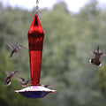 Hummingbird Feeder product image 1