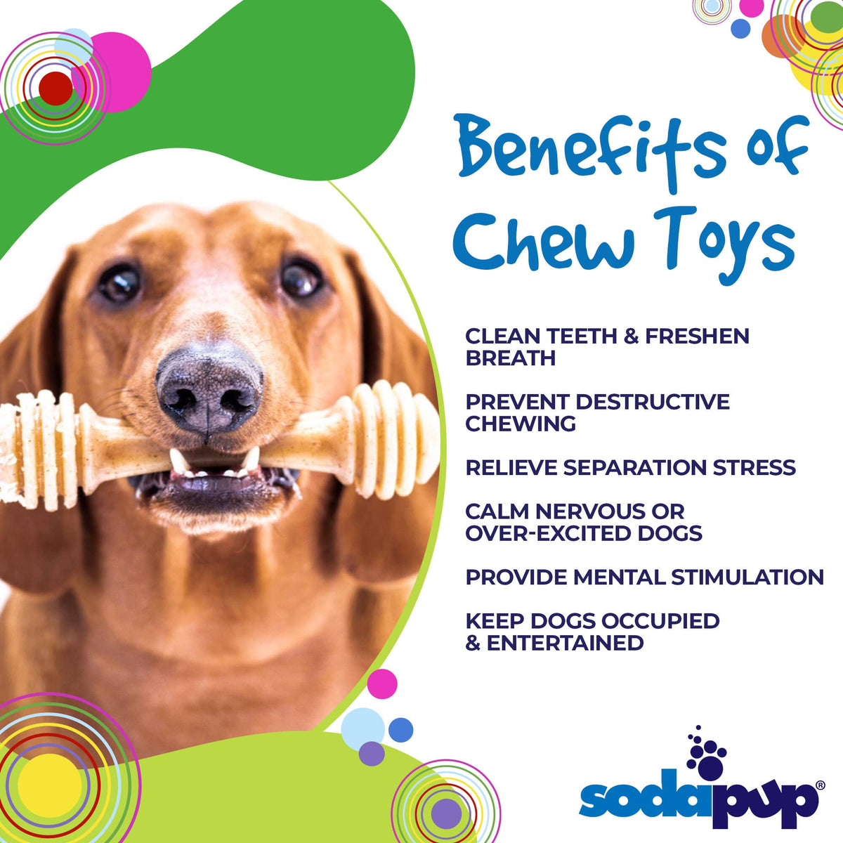 Nylon Dog Toy product image 4