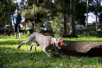 Dog Fetch Ball product image 4