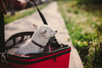 Cozy Pet Carrier product image 9