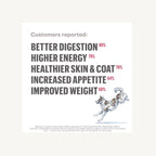 Dehydrated Dog Food product image 4