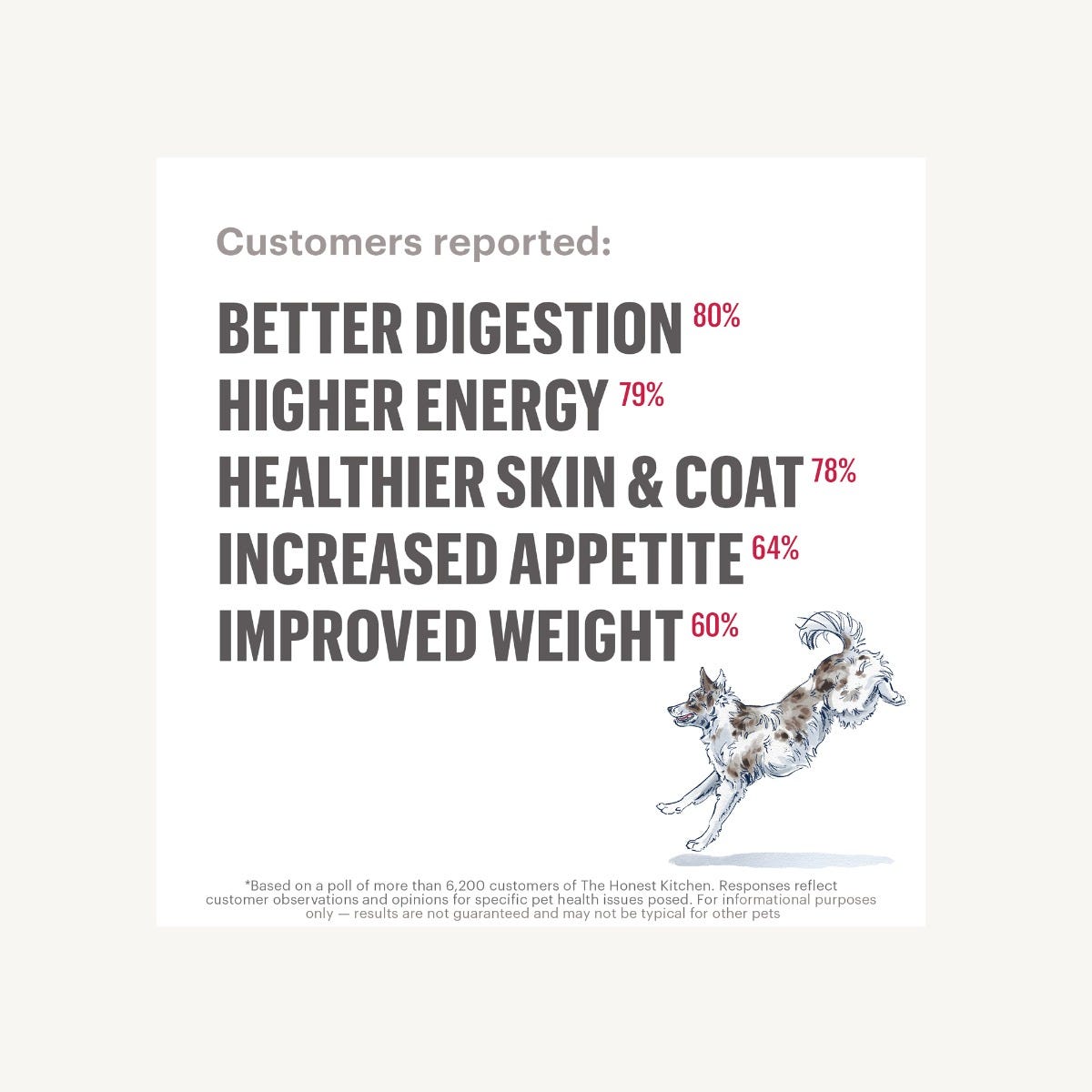 Dehydrated Dog Food product image 4