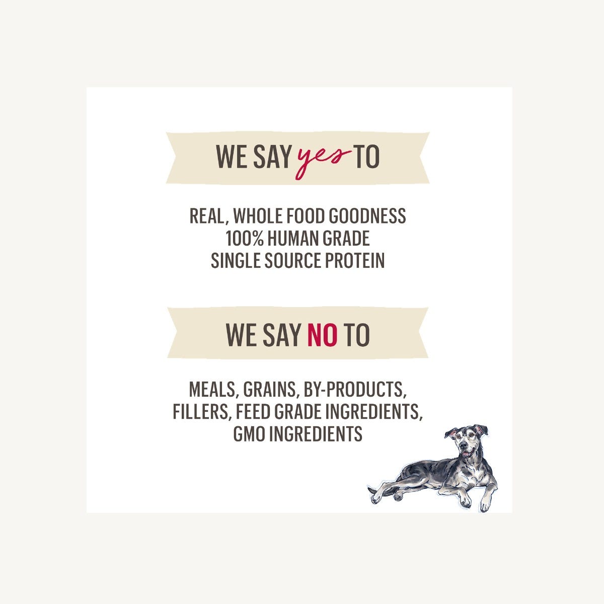 Dehydrated Dog Food product image 5