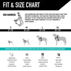 Dog Harness product image 4