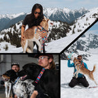 Dog Harness product image 6