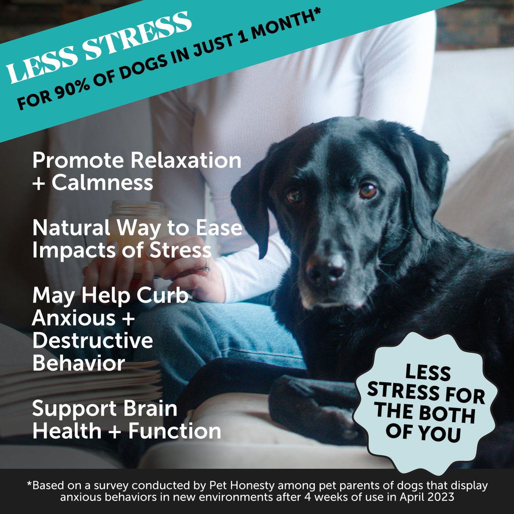 Dog Calming Chews product image 2