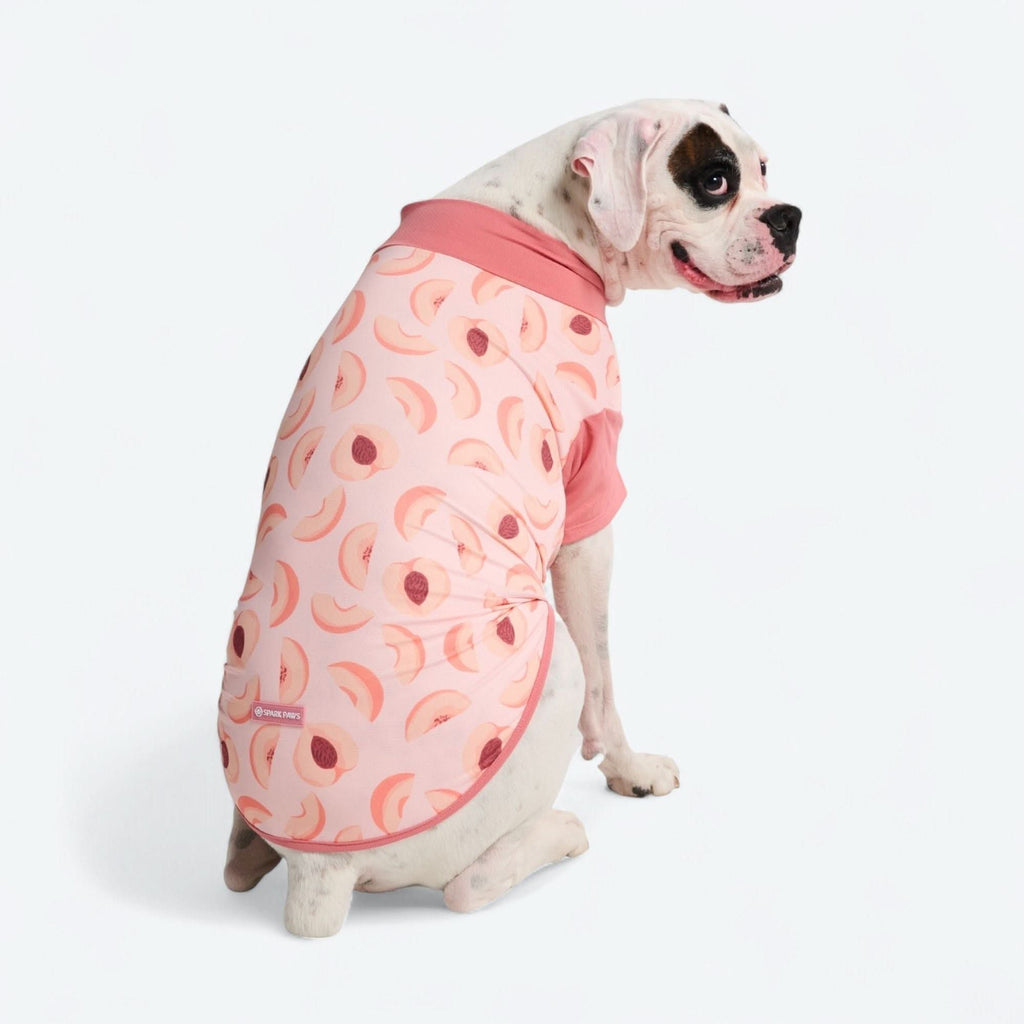 UPF 30 Printed Dog Sun Shirt product image 47